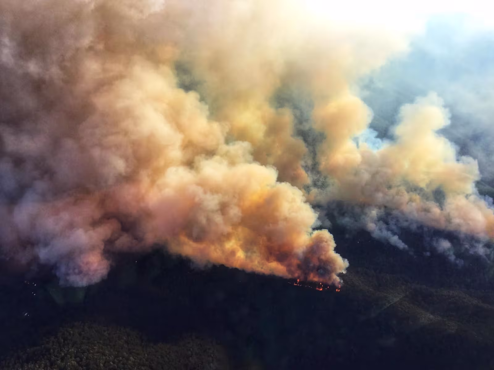 Dire warning: early emergency bushfires in Qld and NSW