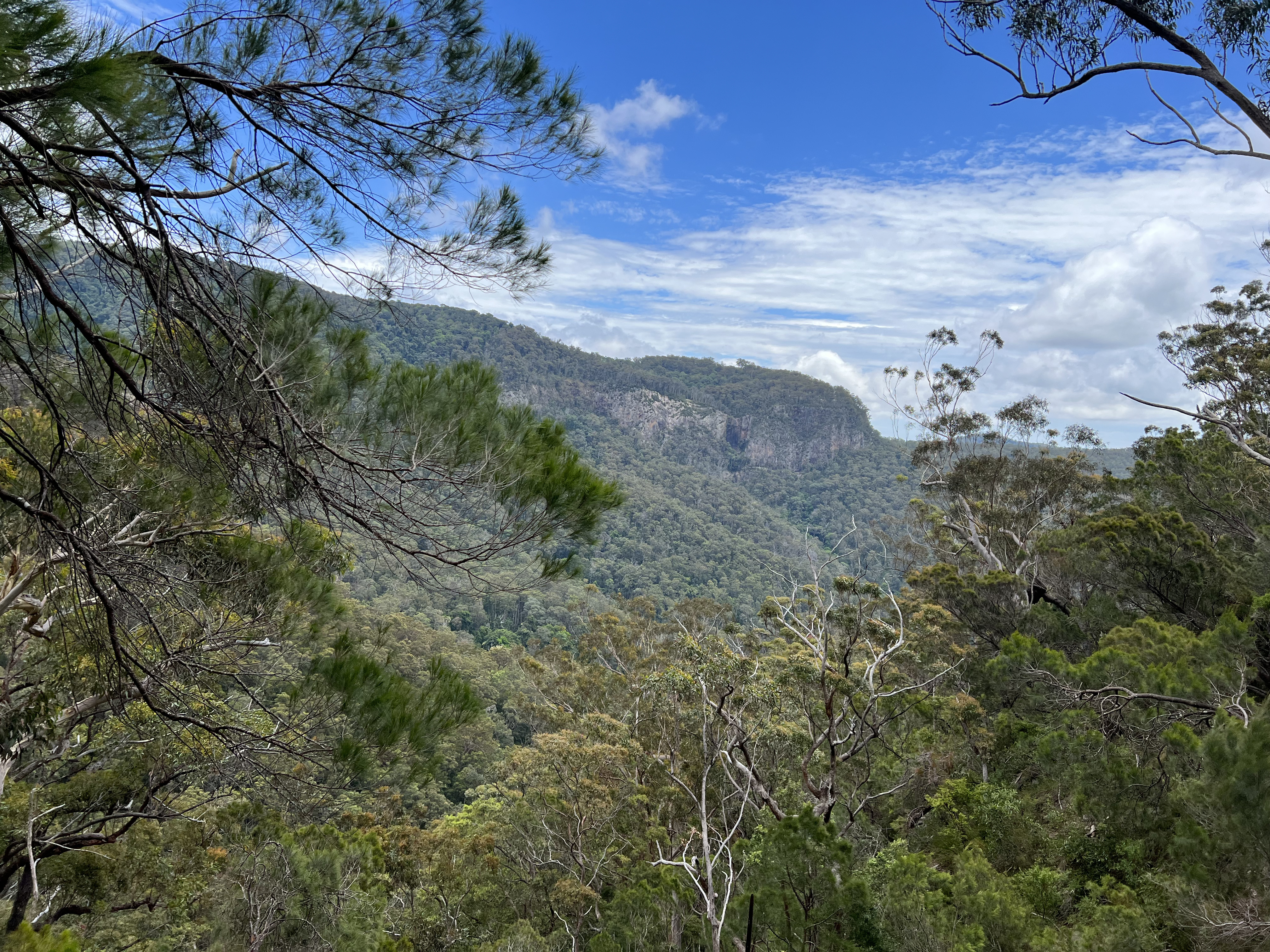 Environment News Australia