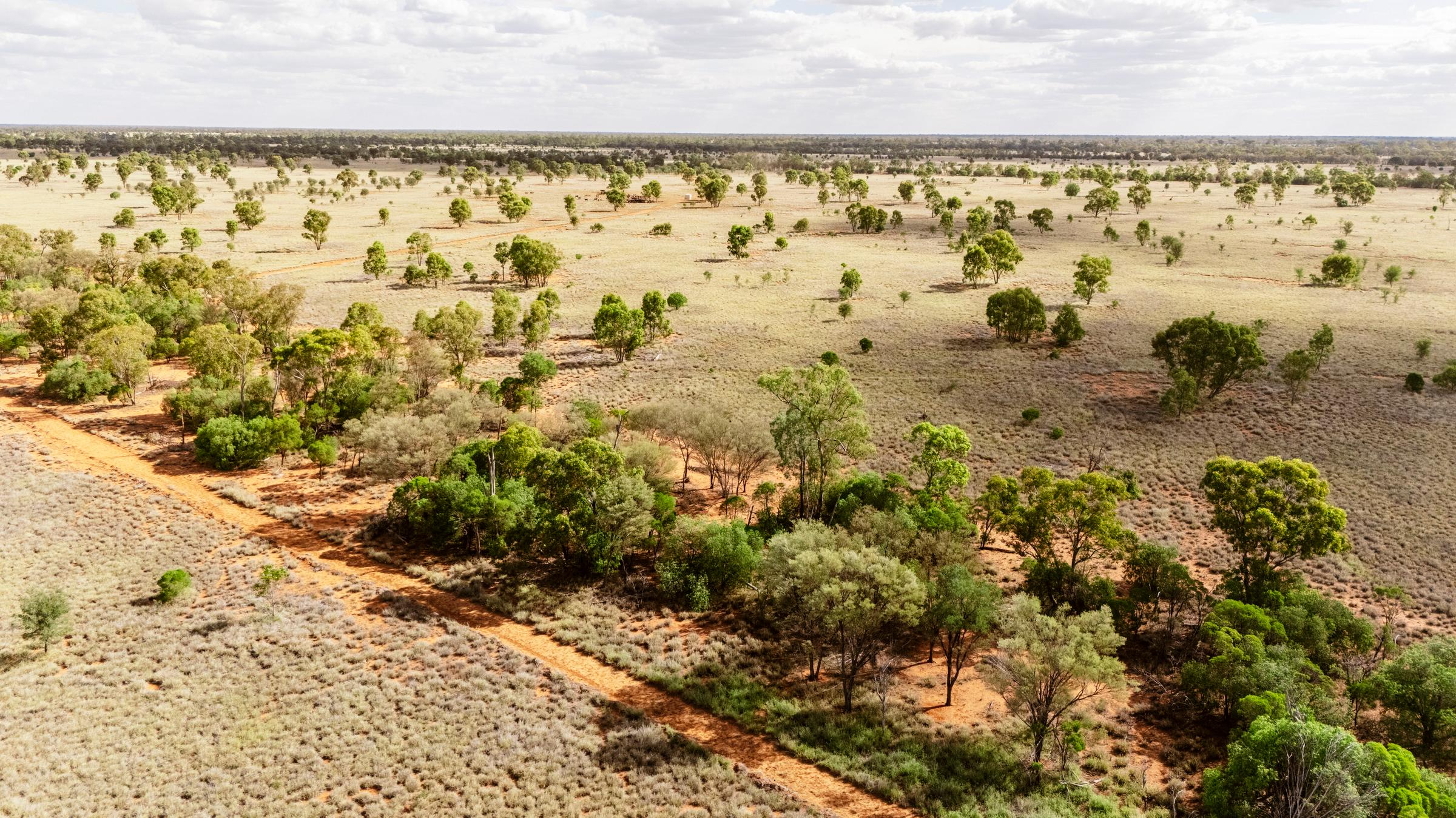 Partnering for the Future: How Commercial Farming is Healing Gunggari Country