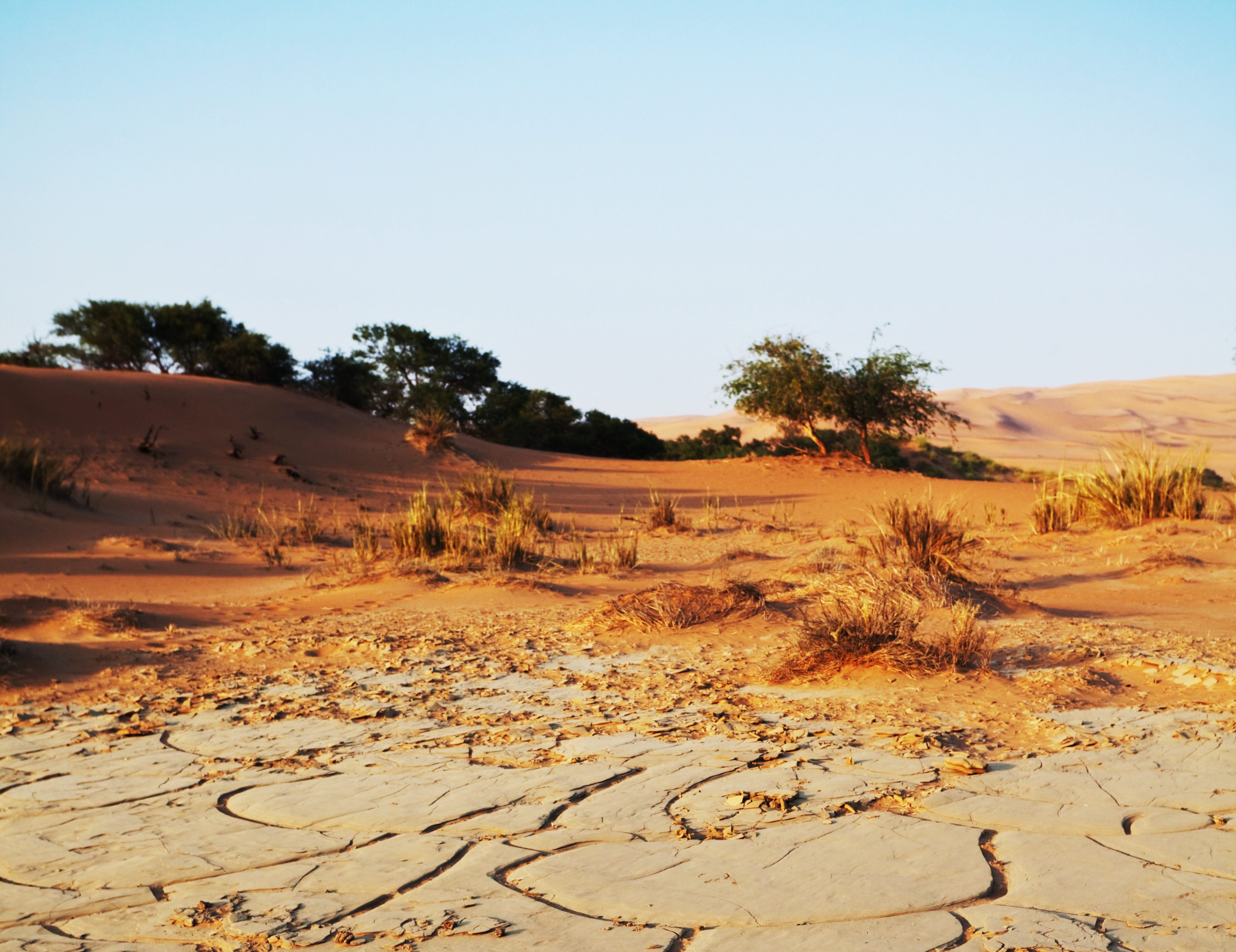 450,000 are projected to die in the next six months because of the super El Niño.