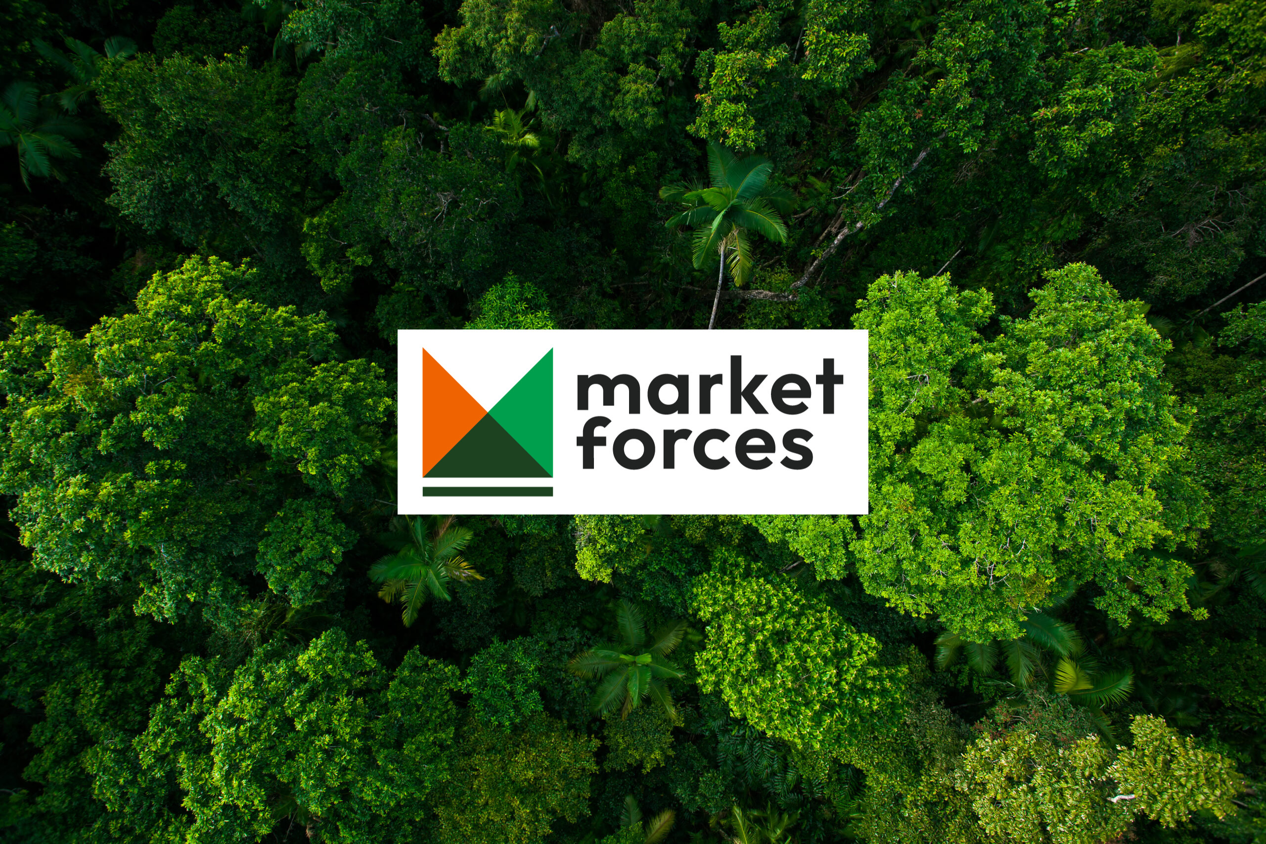 Market forces Logo on tree background