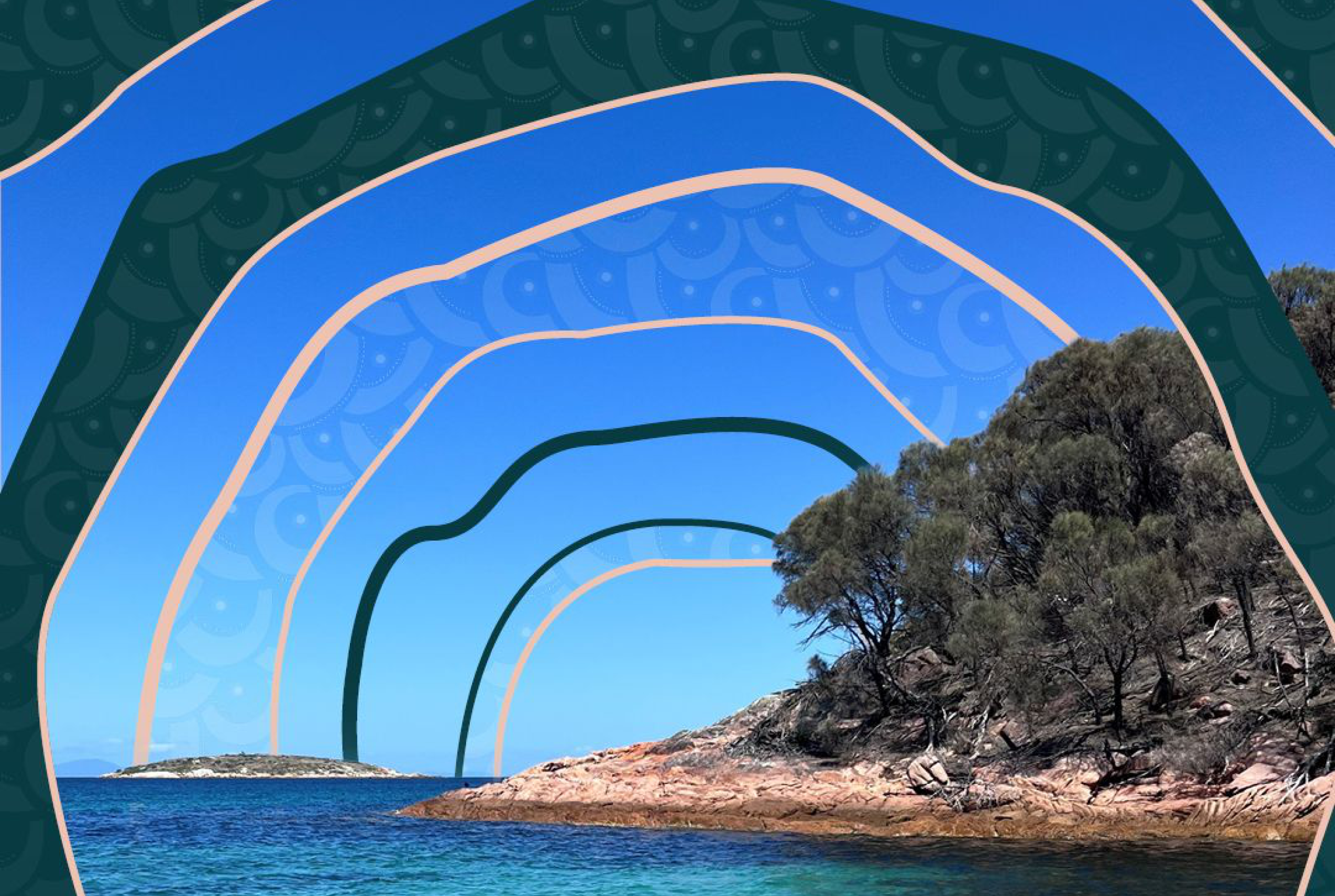 Want to help shape our ocean’s future?